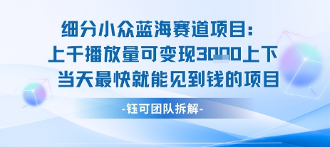 小众蓝海赛道项目：当天变现1k+适合新手操作 +适合长期玩-明楼资源站
