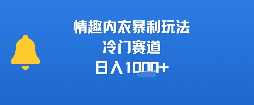 情趣内衣暴利玩法，冷门赛道，日入1k+-明楼资源站