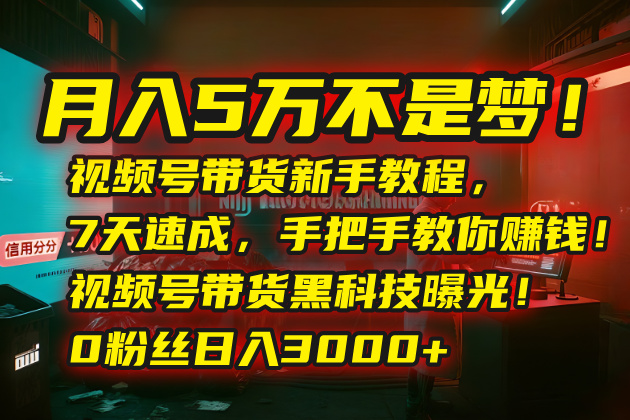 月入5万不是梦！视频号带货新手教程，7天速成，手把手教你赚钱！视频号…-明楼资源站