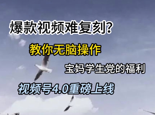 视频号4.0重磅上线，爆款视频难复刻？教你无脑操作宝妈学生党的福利【揭秘】-明楼资源站