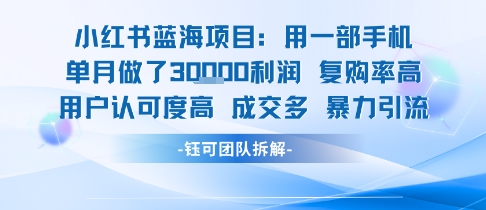 小红书蓝海项目，一部手机单月做了3W利润，小白也能月入过1W用户认可度高成交多-明楼资源站