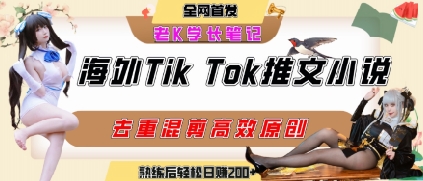 海外tiktok小说推文暴力项目，高停留率，高转化率，上手后一天搞顿饭钱不是问题-明楼资源站