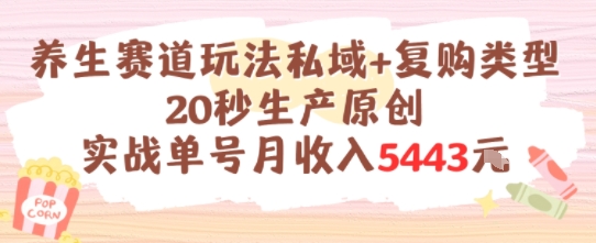养生赛道玩法私域+复购类型，20秒生产原创实战单号月收入5k+-明楼资源站