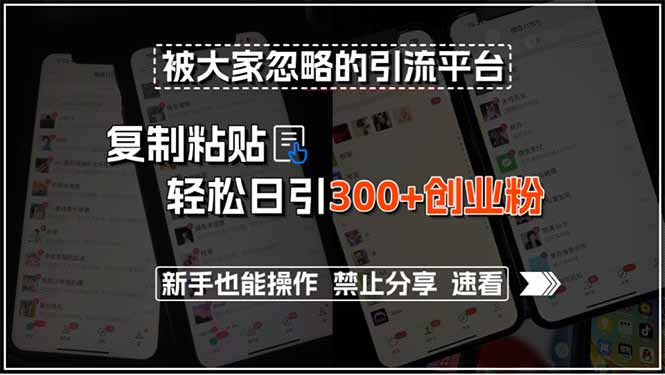 被大家忽略的引流平台，复制粘贴轻松日引300+创业粉，新手也能操作，禁…-明楼资源站
