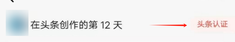 头条代运营 你只需登陆账号,我来帮你运营