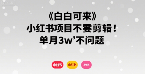 小白可来 小红书项目不需要剪辑 单月3w不是问题-明楼资源站