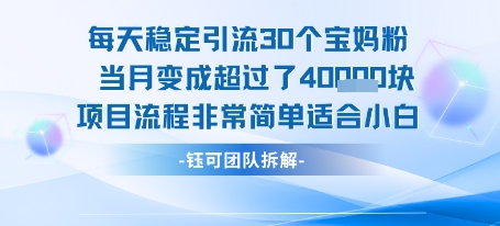每天稳定引流30个人 当月变成超过了4个W项目流程非常简单适合小白-明楼资源站