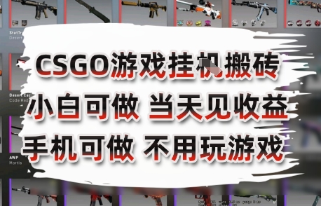 CSGO游戏挂G搬砖，小白纯手机即可操作，不用电脑打游戏，日入3张+，副业网创项目【揭秘】-明楼资源站
