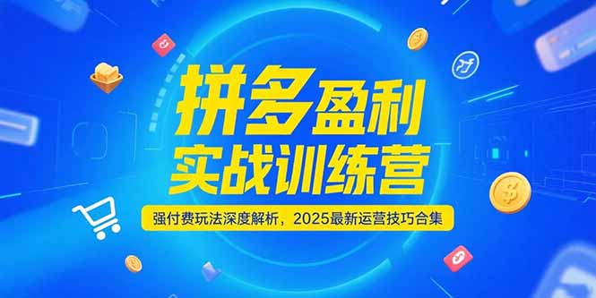 拼多多盈利实战训练营，强付费玩法深度解析，2025运营技巧合集-更新6月-明楼资源站