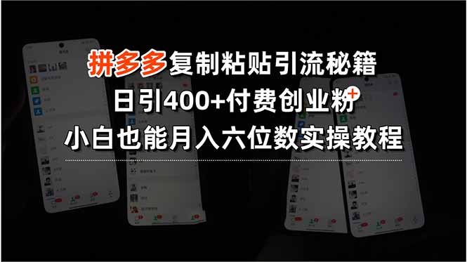 拼多多复制粘贴引流秘籍，日引400+付费创业粉，小白也能月入六位数实操…-明楼资源站