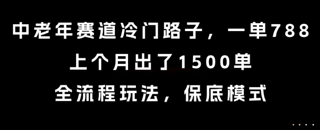 中老年赛道冷门路子，一单788，上个月出了1500单，全流程玩法，保底模式【揭秘】-明楼资源站