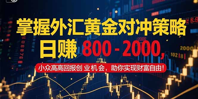 掌握外汇黄金对冲策略，日赚 800 – 2000，小众高回报创业机会，助你实…-明楼资源站