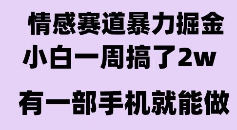 情感暴力掘金项目，新人操作一周挣了2W，长期稳定小白可做【揭秘】-明楼资源站