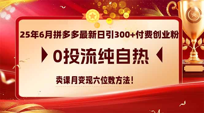 25年6月拼多多最新日引300+付费创业粉，0投流纯自热 卖课月变现六位数方法-明楼资源站