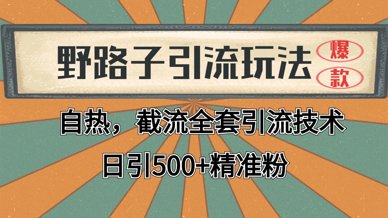 2024首发野路子引流玩法截流自热全平台打法，全自动引流【日引2000+精准客户】-明楼资源站