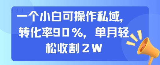 一个小白可操作私域，转化率90%，单月轻松收割2W-明楼资源站