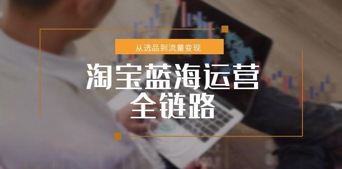 淘宝蓝海运营全链路，从选品到流量变现，小类目突围完整方案-明楼资源站