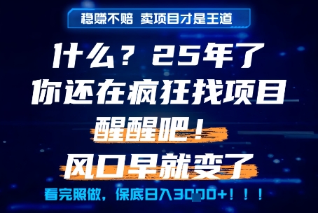 什么？25年你还在疯狂找项目做，醒醒吧，看完这些你全都懂了！【揭秘】-明楼资源站