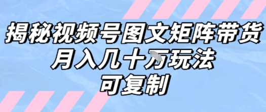 解密视频号图文矩阵带货，月入几个W的打法，可复制-明楼资源站