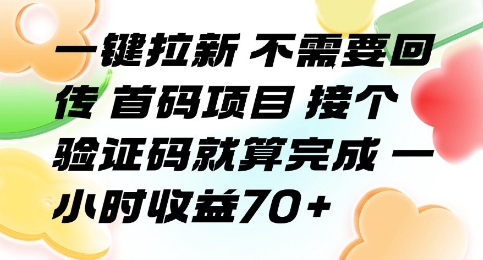 一键拉新 不需要回传 首码项目 接个验证码就算完成 一小时收益70+【揭秘】-明楼资源站