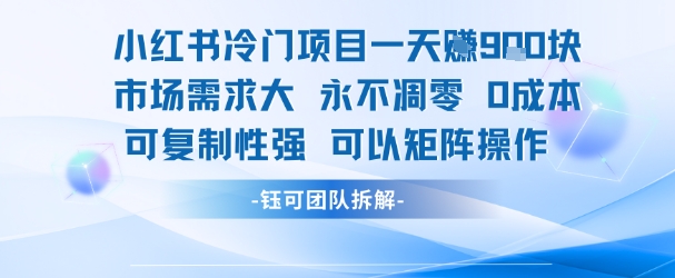 小红书冷门项目一天收益9张，市场需求大，0成本，可复制性强可以矩阵操作-明楼资源站